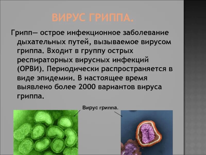 Микроорганизмы вызывающие заболевания называются. Вирусы вызывающие заболевания человека. Сообщение о вирусных инфекциях. Вирус гриппа. Информация о вирусе гриппа.