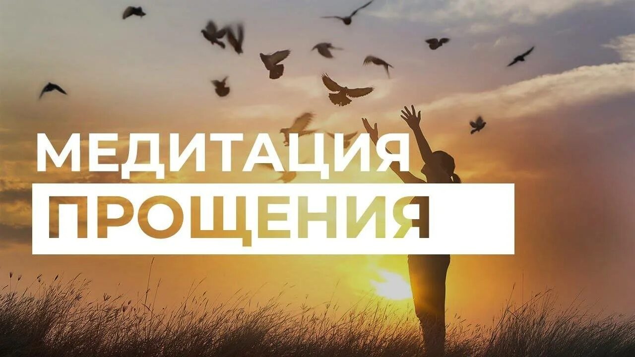 Медитация прощения. Толоконин медитация прощения. Практика прощения медитация. Медитация прощения и отпускания. Медитация прощение обид