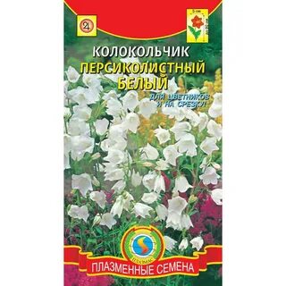 Колокольчик семена