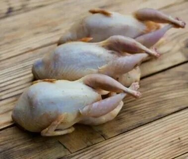 Тушки перепелов