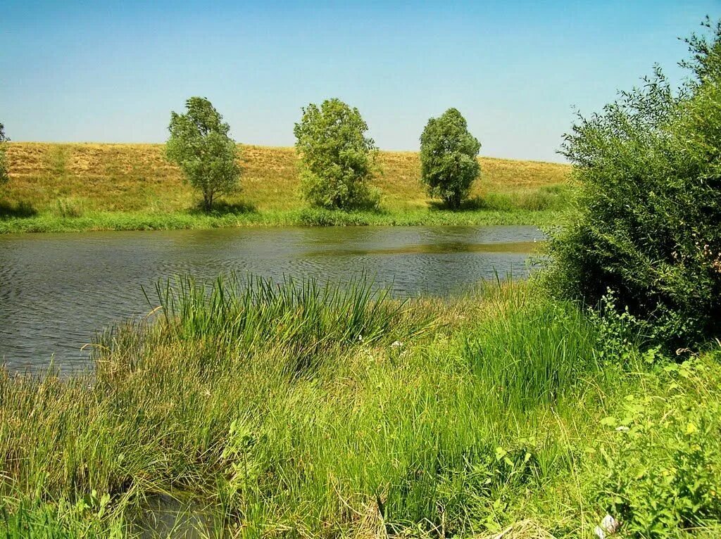 Река Алтата Саратовская область. Река Алтата Дергачи. Караман река Саратовская область. Большой Караман река Саратовской.