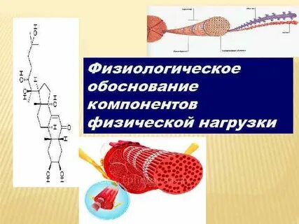 Физиологическое обоснование