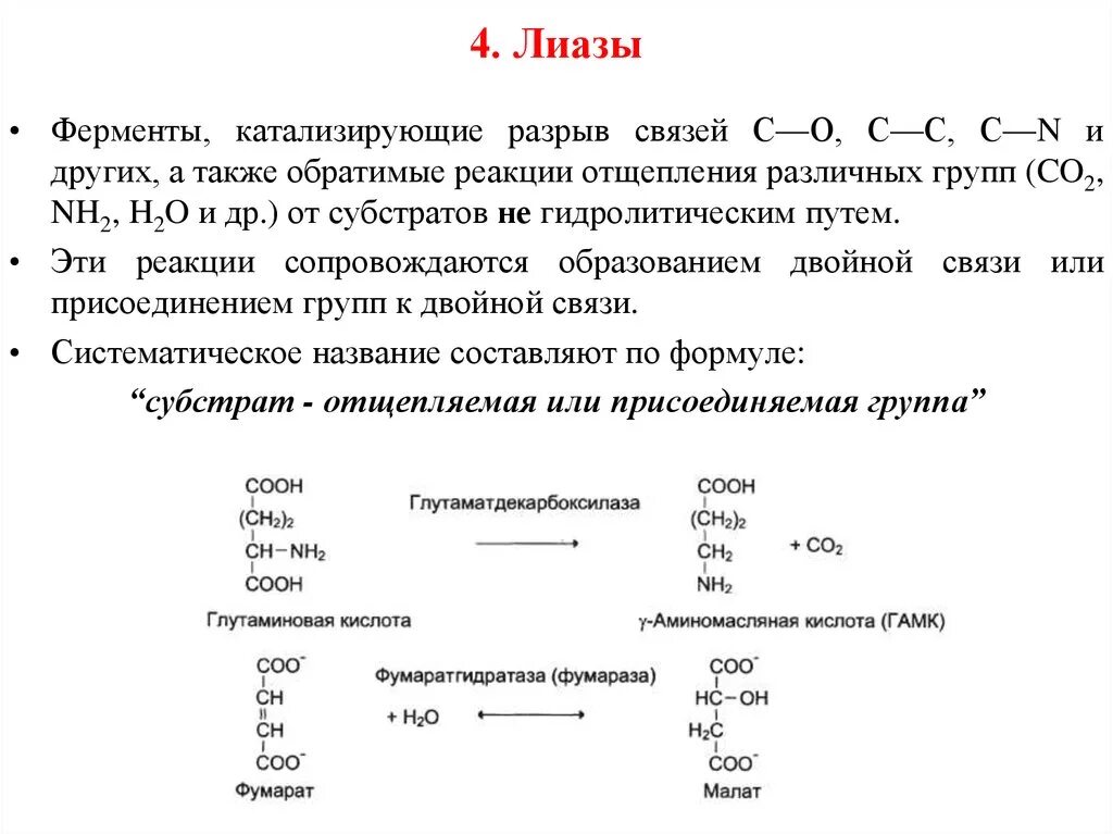 Лиазы ферменты