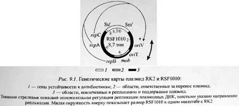 Космиды это плазмиды
