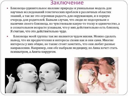 Близнец содержание