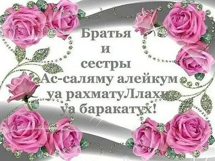 Алейкум картинки