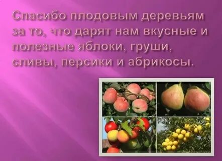 Благодарственное письмо растениям 3 класс окружающий