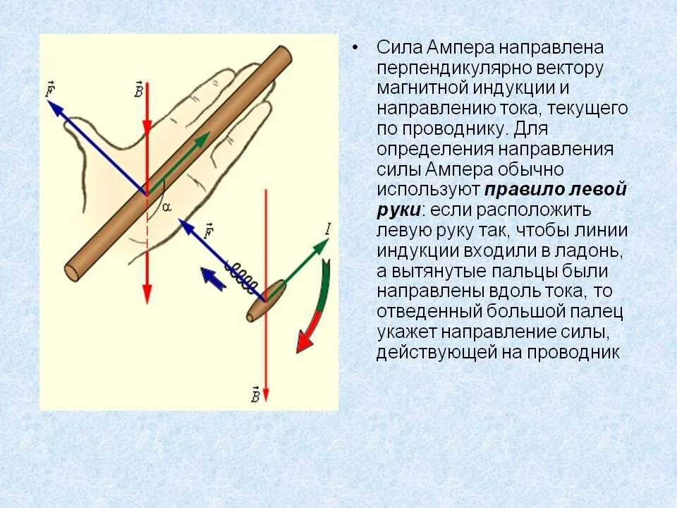 Сила Ампера направлена к вектору магнитной индукции. Направление силы Ампера и силы тока. 12. Взаимодействие токов. Сила Ампера.. Сила Ампера, действующая на проводник направлена .... Ток по направлению к листьям