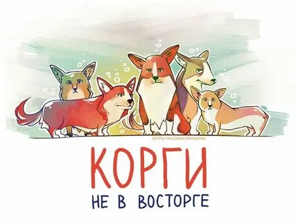 Не в восторге