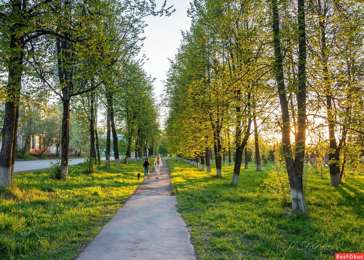 Лысьва парк. Лысьва город природа. Парк Пушкина Лысьва. Аллея Пермь. Золотой лысьва