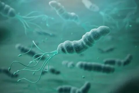 Инфекция н pylori