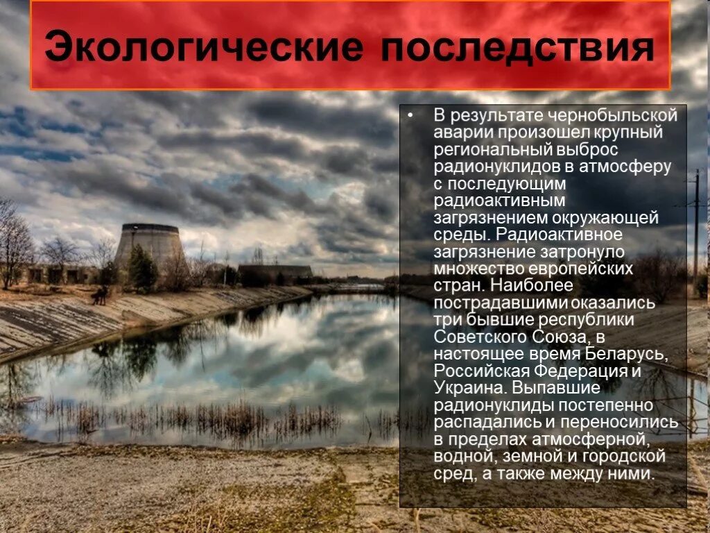 Трагедия чернобыльской аэс 1986. Рыжий лес чернобыль. Чернобыльская катастрофа экологические последствия. Зона отчуждения чернобыльской аэс 1986. Рассказ о чернобыльской аэс.