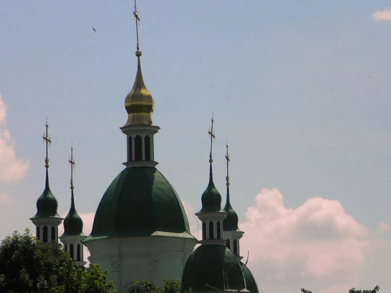 Васильков церкви. Васильков киевская область. Васильков церкви. Село васильково киевская область. Васильков церковь.