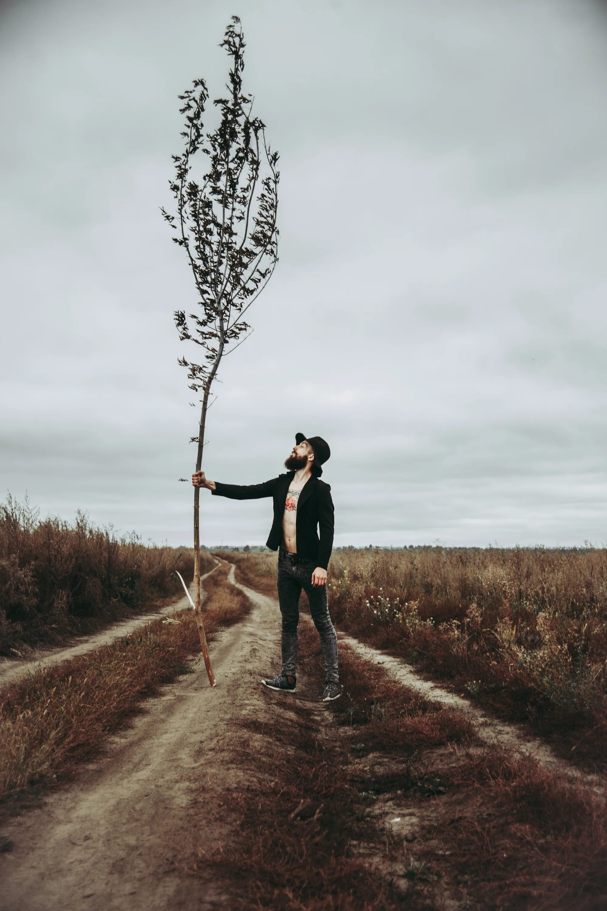 Walking tree
