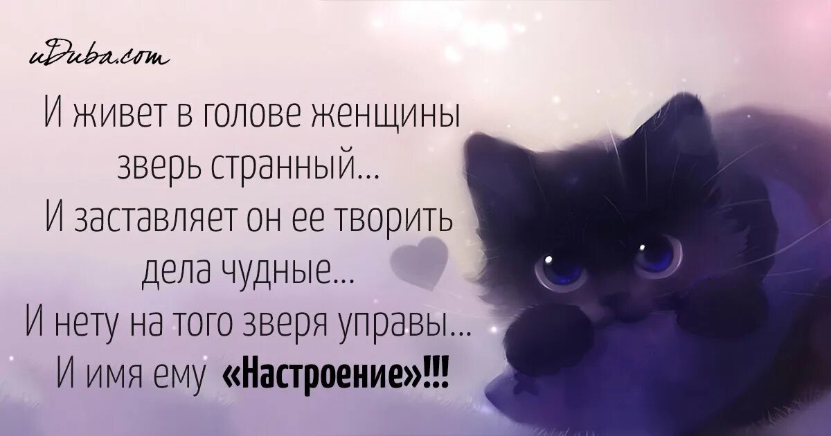Статусы про женское настроение. Цитаты про настроение женщины. Цитаты про плохое настроение. Смешные открытки для поднятия настроения. Афоризмы про женское настроение.