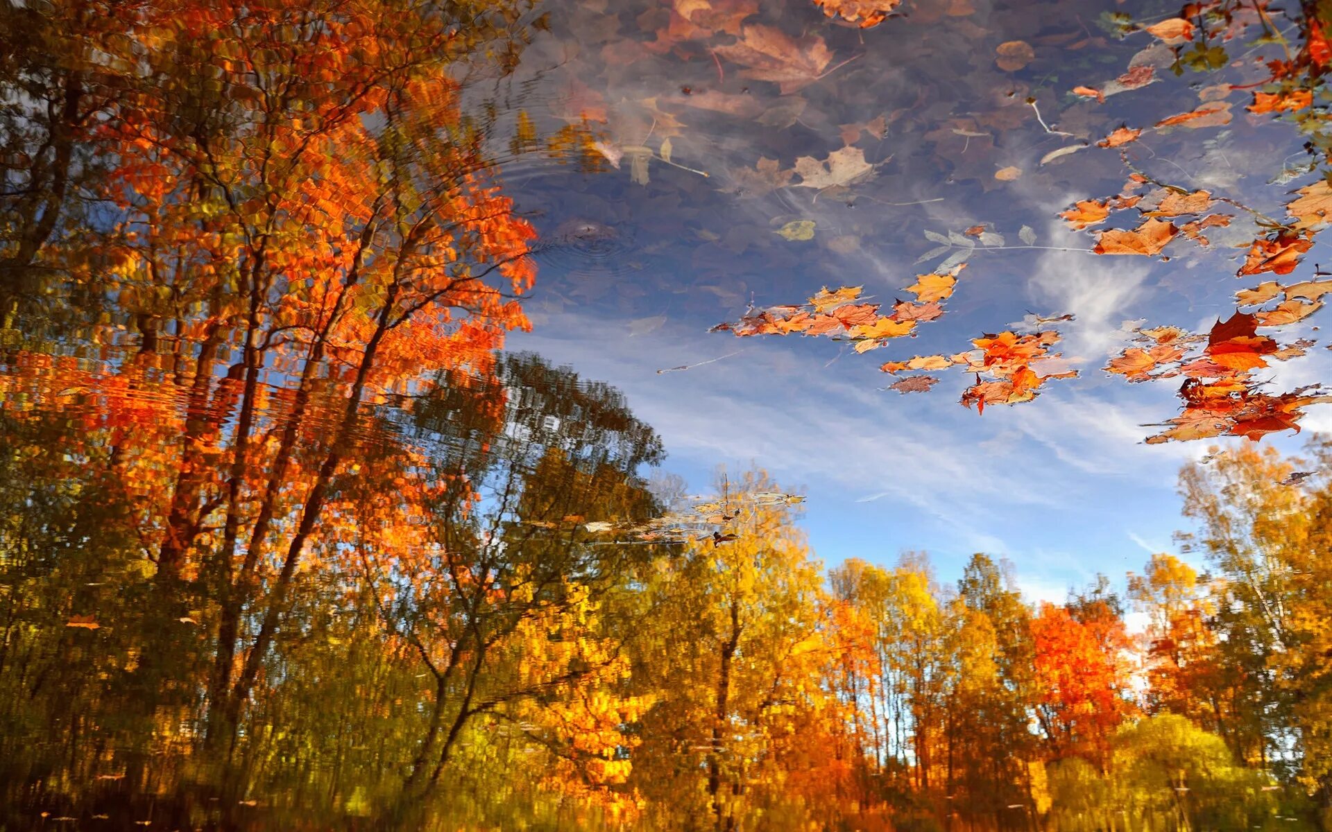 Какая теплая осень в этом году. Осенний пейзаж. Осень листопад. Осень небо. Красивая осень.
