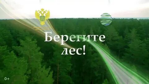 Берегите лес он очищает воздух