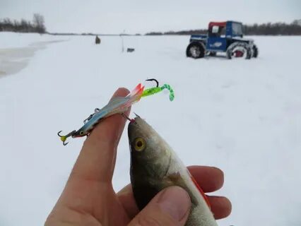 Лучший балансир на окуня