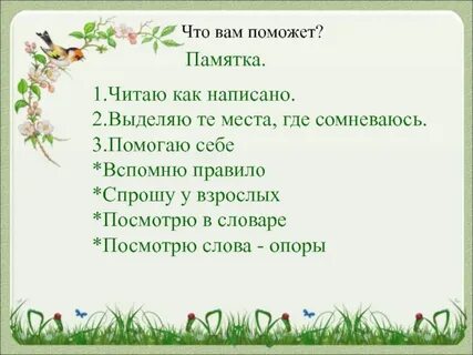 Мы осторожно раздвинули травинки и увидели птенца