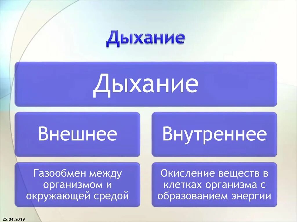 Система внутреннего дыхания