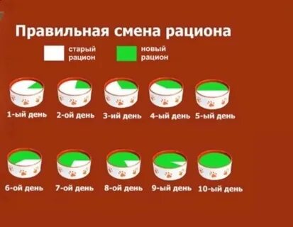 Как правильно сменить