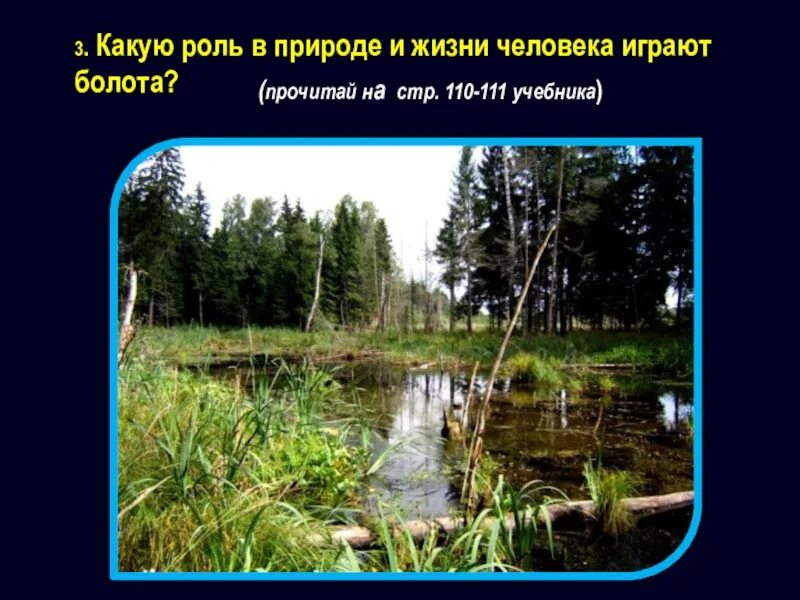 Какие организмы составляют болото. Какую роль играют болота в природе. Какую роль играют болота в жизни человека. Надо ли охранять болото. Какую роль в природе и жизни человека играют озера.