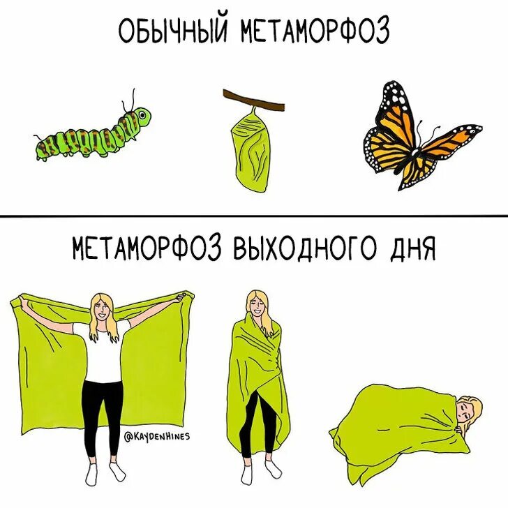 Бабочка поп арт. Обложка трека metamorphosis. Гусеница куколка бабочка. Повесть превращение кафка. Metamorphosis картинки.