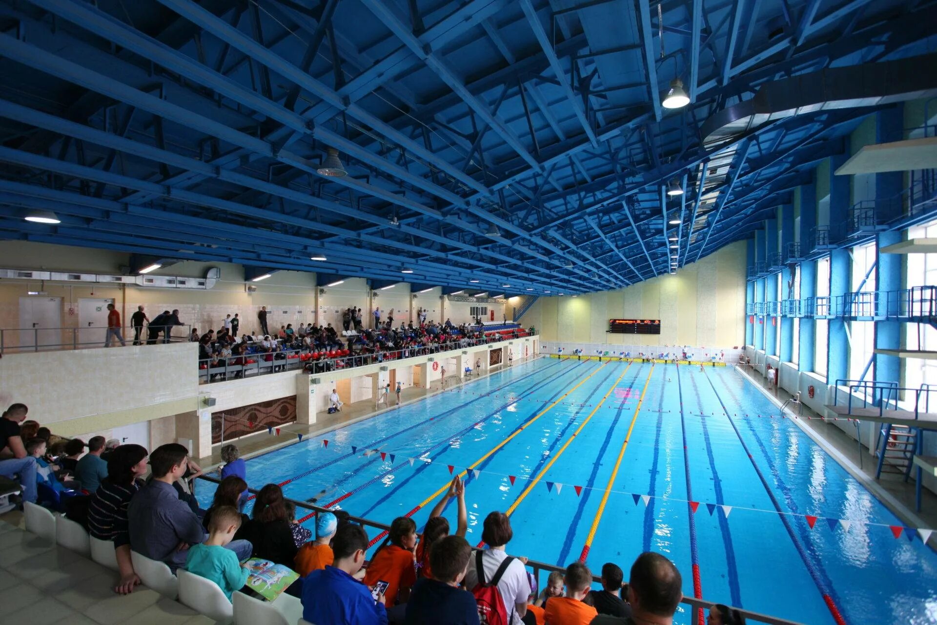 Водный спорт красноярск. Бассейн Делфин Краснокамск. Бассейн Дельфин Краснокамск. Бассейн Дельфин Новоуральск. Дворец водного спорта Красноярск.
