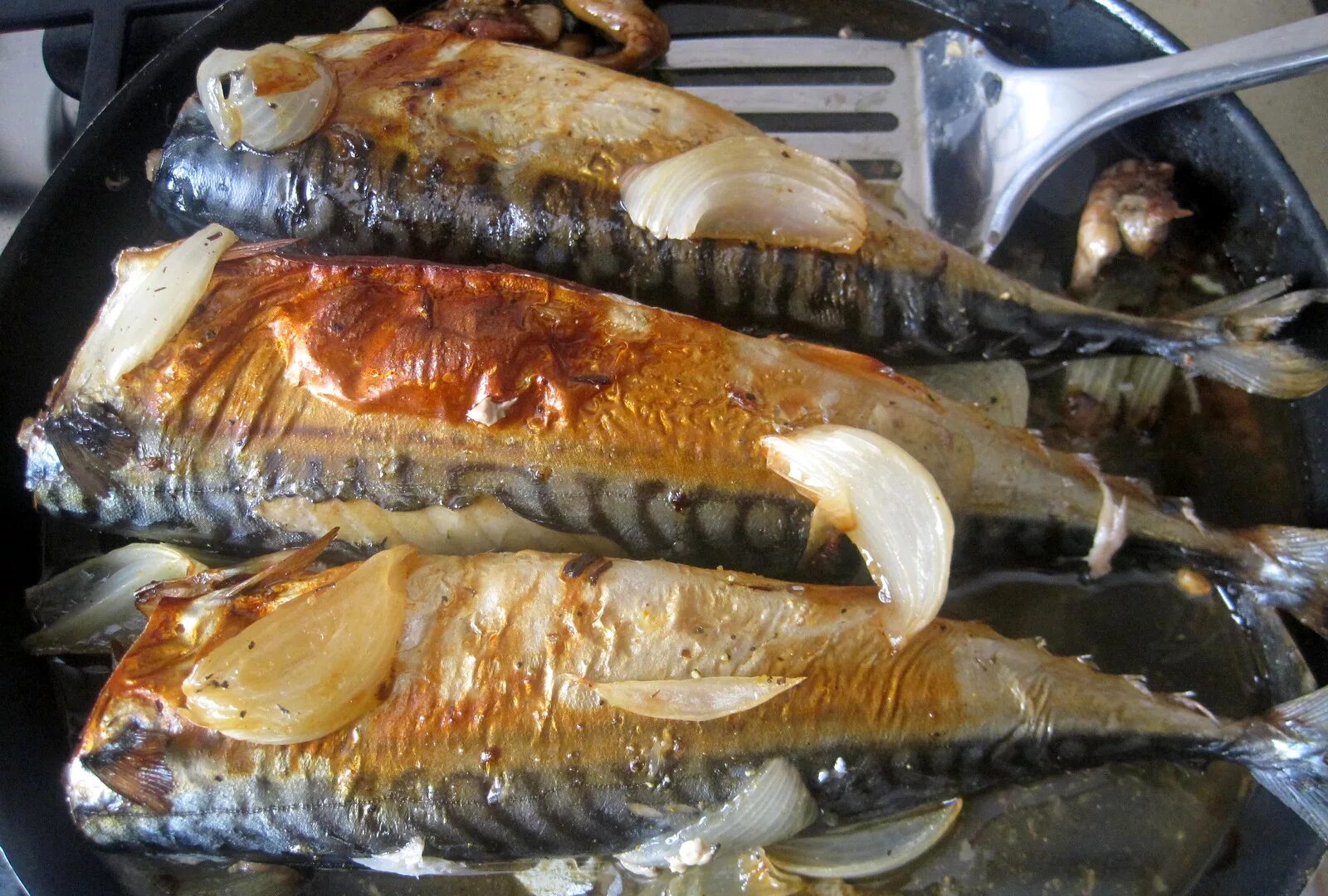 Как замариновать скумбрию для духовки. Скумбрия в духовке в соли запеченная. Скумбрия запеченная с луком. Скумбрия с лимоном в духовке. Скумбрия запеченная в духовке.