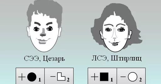 Сенсорно этический. Логико-сенсорный экстраверт. Логико-сенсорный экстраверт Штирлиц. Штирлиц ЛСЭ. Сенсорно-этический экстраверт.