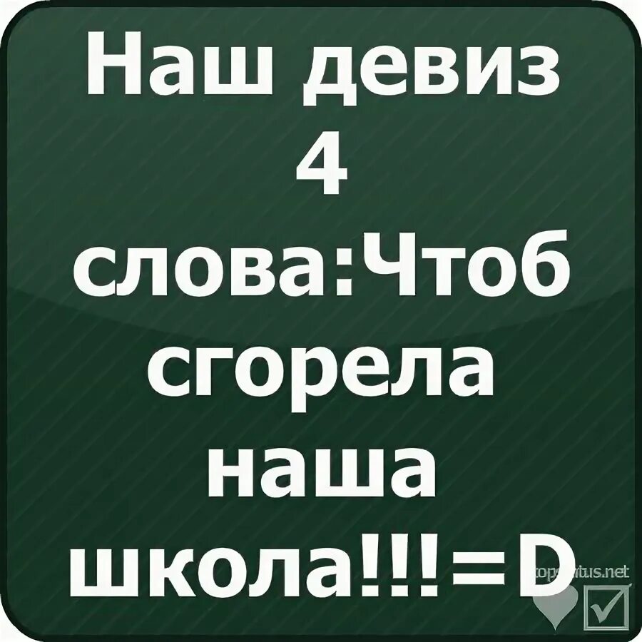 Наш девиз четыре слова чтоб сгорела. Наш девиз четыре слова чтоб сгорела наша школа.