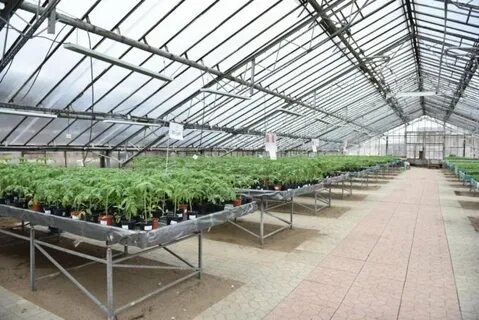 Тоншаловский тепличный комплекс