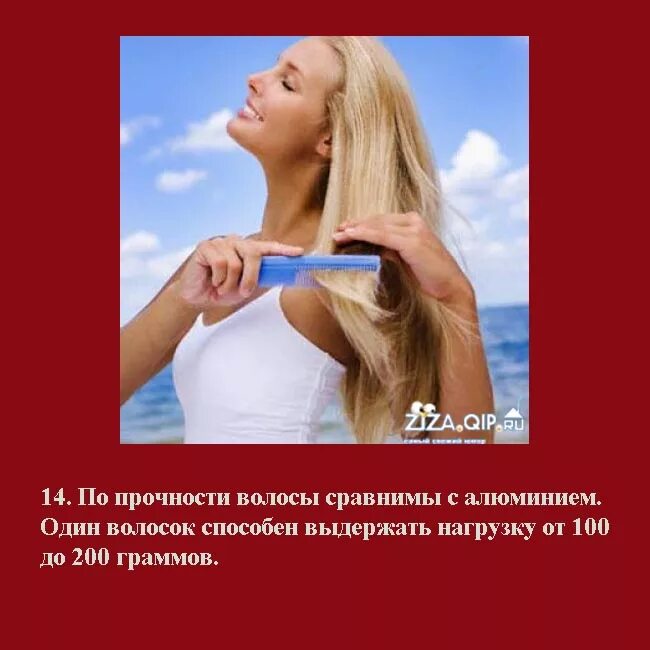 Красивые высказывания о волосах. Цитаты про волосы. Цитаты про парикмахеров. Красивые и ухоженные волосы залог успеха. Девушка волосы цитата.