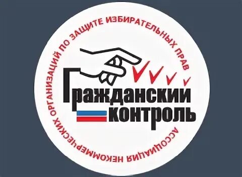 Общественный мониторинг гражданский контроль