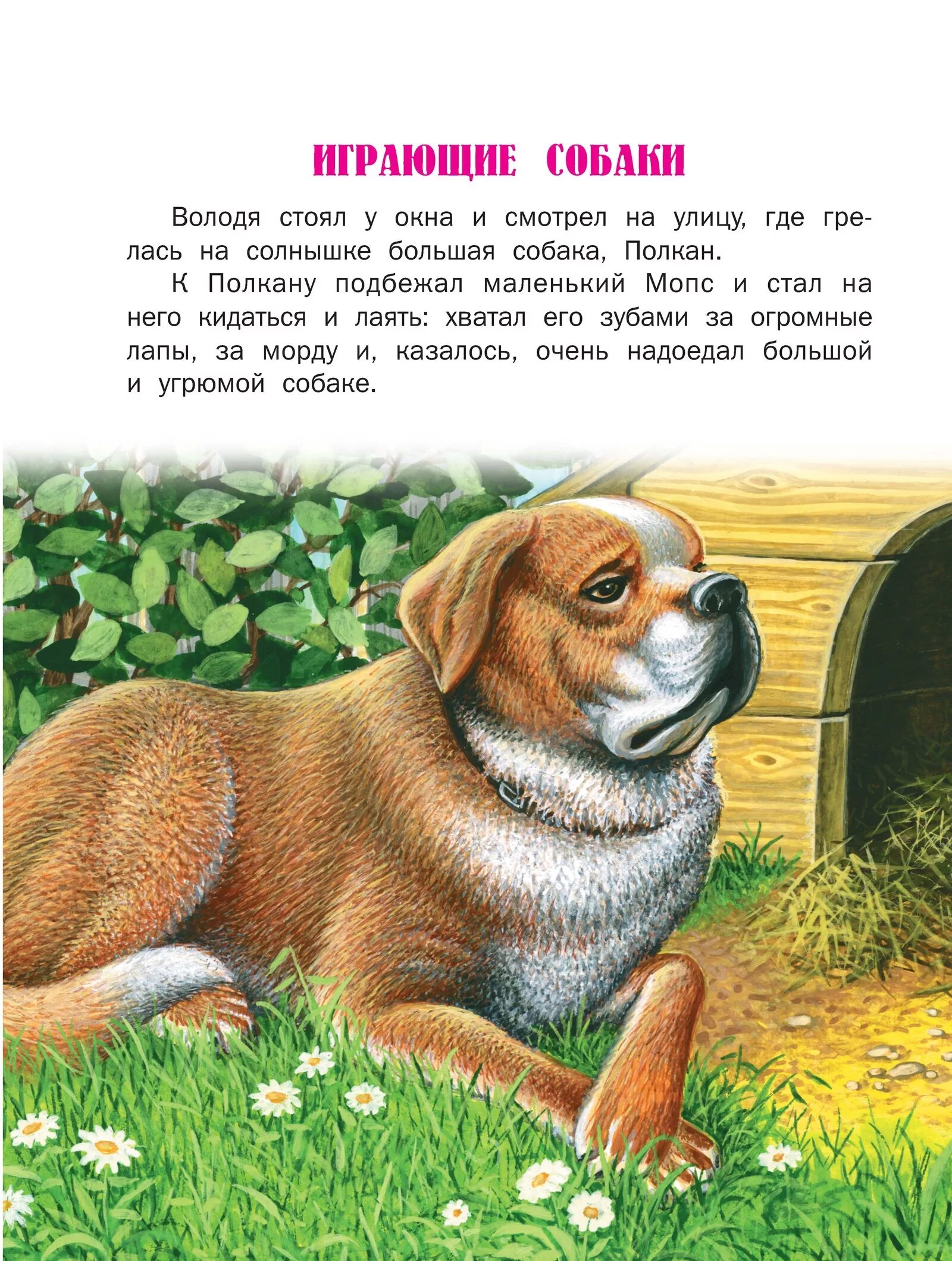 Animal рассказы. Произведения Толстого о животных. Рассказы о животных Льва Николаевича Толстого. Маленький рассказ о животных. Небольшой рассказ о животных.