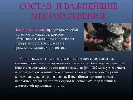 Растения какой группы образовали залежи каменного угля
