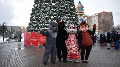Подольск ели