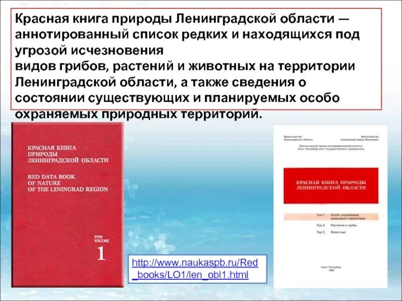 Красная книга петербурга и ленинградской. Красная книга петербурга и ленинградской. Красная книга петербурга и ленинградской. Красная книга лен обл. Красная книга.