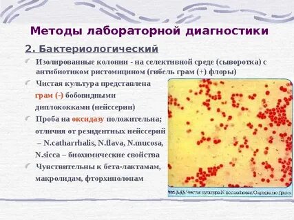 Возбудитель теста