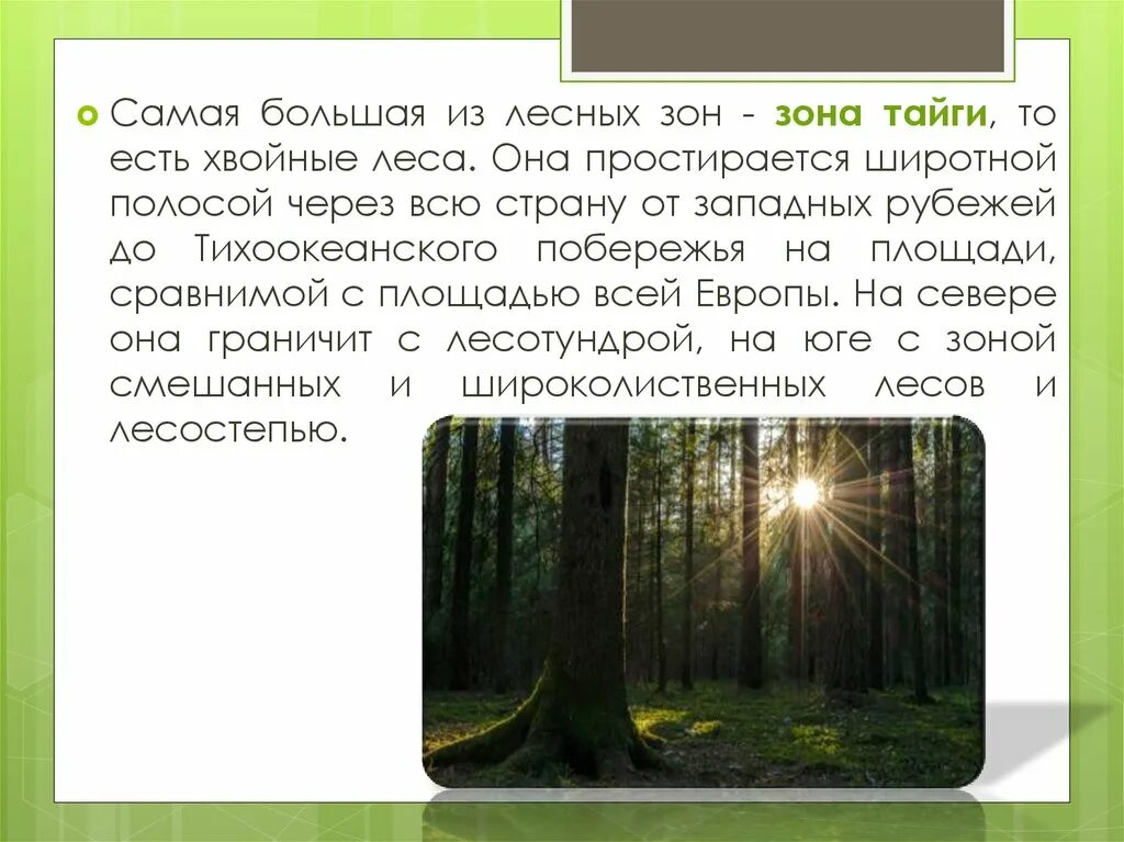 Какая характеристика в тайге. Разнообразие лесов России. Лесные зоны России презентация. Зоны тайги смешанных и широколиственных лесов. Лесные зоны презентация.