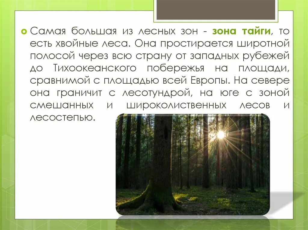 Разнообразие лесов России. Лесные зоны России презентация. Зоны тайги смешанных и широколиственных лесов. Лесные зоны презентация. Природные условия в зоне лесов