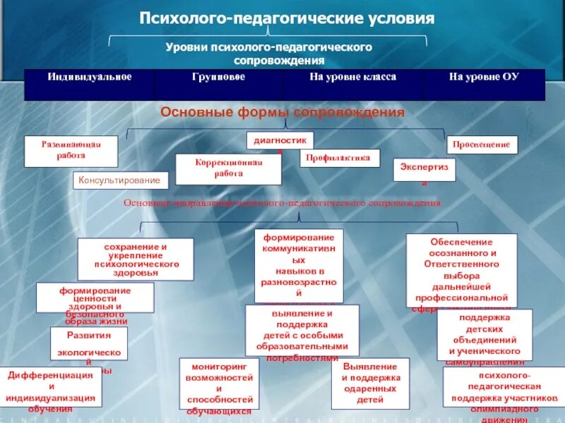 Сопровождение деятельности образовательных организаций