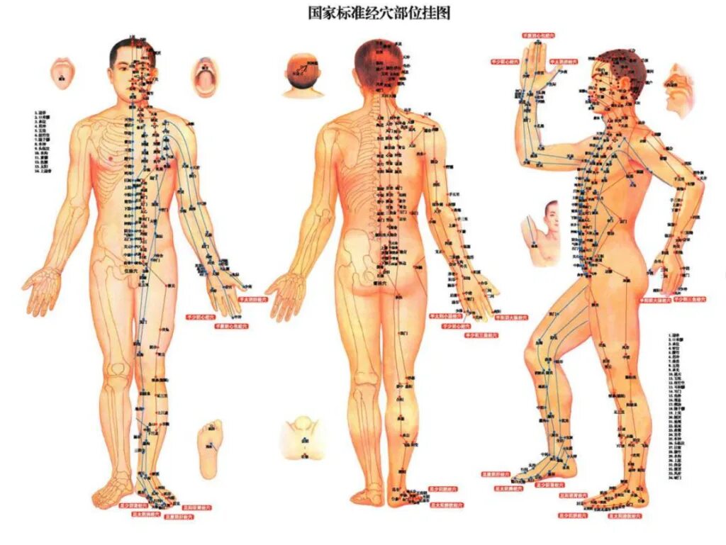 Каналы китайской медицины. Акупунктурные точки на теле человека китайская медицина. Энергетические меридианы человека китайская медицина. Акупунктурные точки и меридианы на теле человека. Меридианы на теле человека схема китайская медицина.