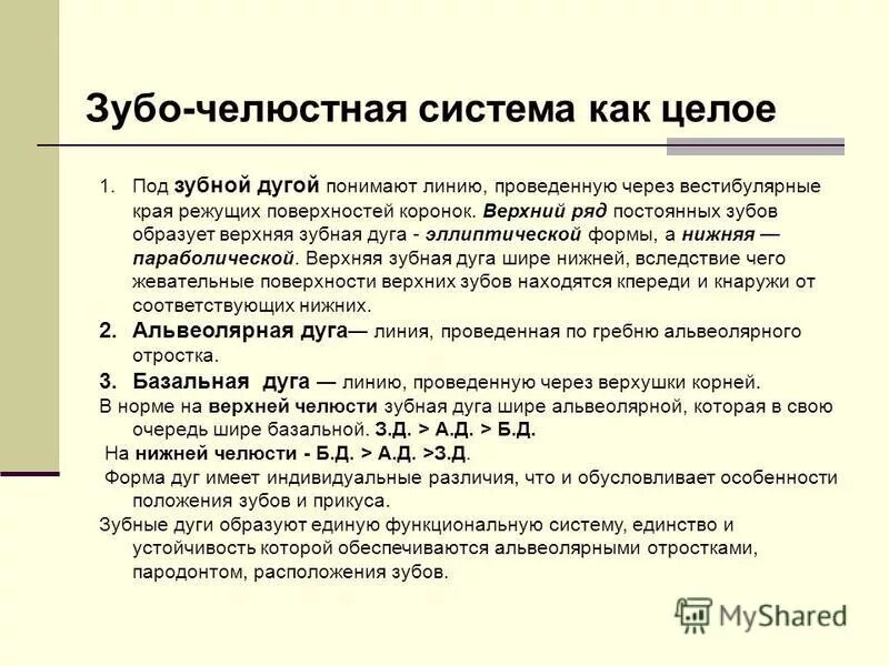 базальная зубная дуга