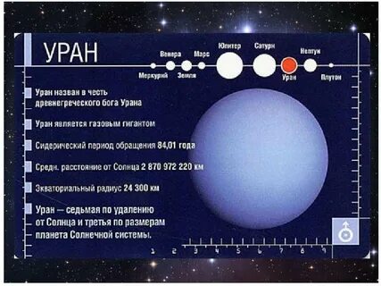 Год урана в земных годах