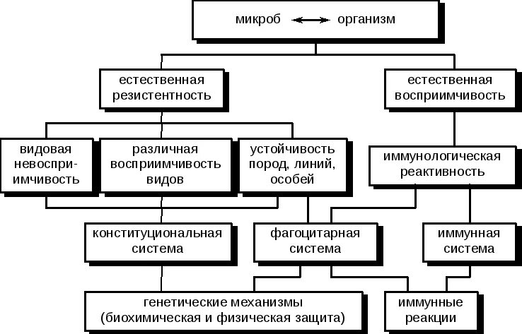 Виды резистентности организма. Естественная видовая резистентность. Резистентность это. Первичная резистентность.