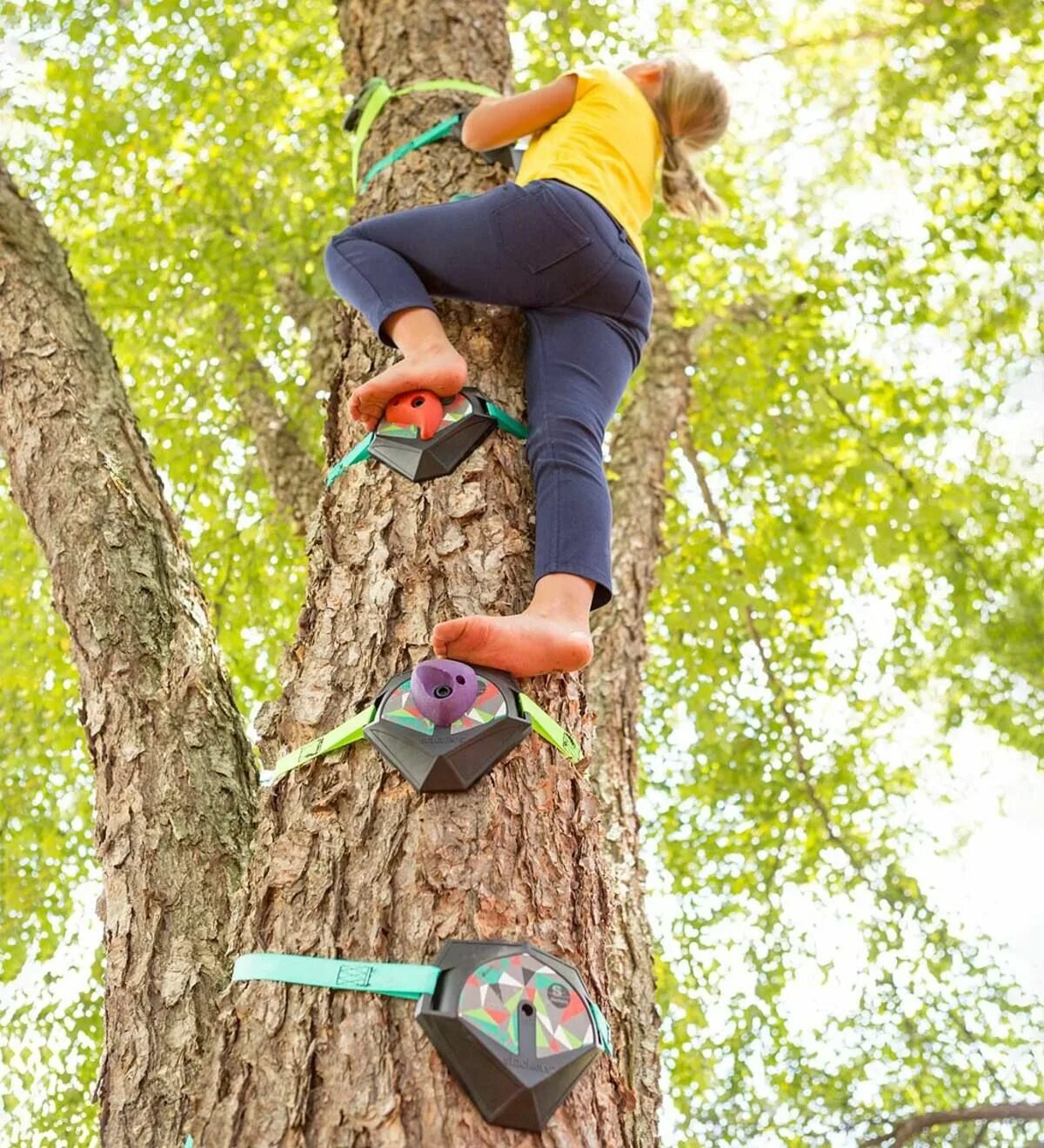 Can your climb a tree