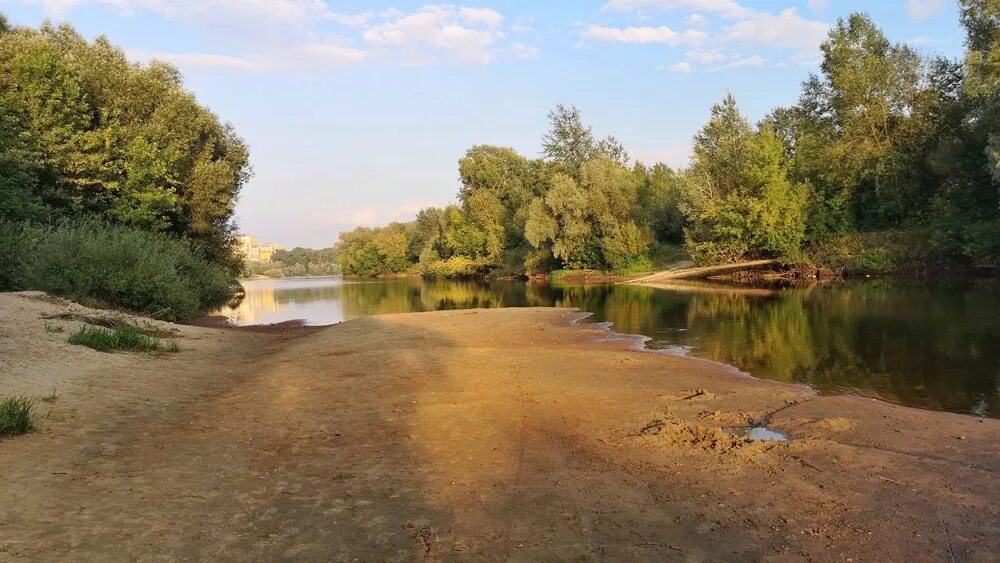 Уровень воды в десне брянск 2024 сегодня. Десна река Брянск пляж мост. Река Десна. Речка саранка Брянск. Река Десна Брянск фото.