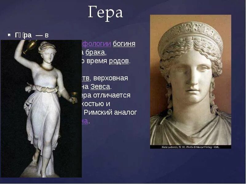 Сколько лет геры. Сколько лет геры