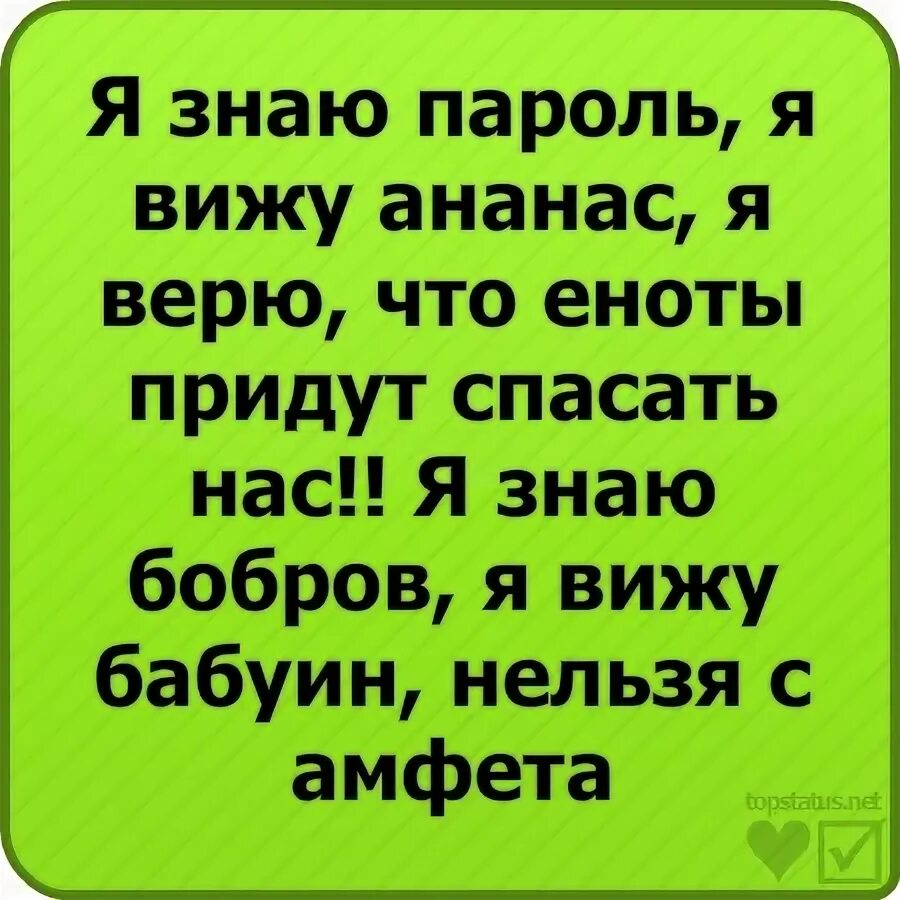 Нельзя с амфетамином мешать кокаин. Я знаю пароль, я вижу ананас прикол. Я знаю пароль я вижу ананас я верю что еноты придут спасать. Я вижу пароль я вижу ананас я верю что еноты придут спасать нас. Я знаю пароль я вижу ананас я верю.